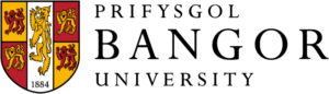 Accounting And Finance
